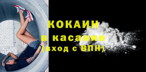 индика Нязепетровск