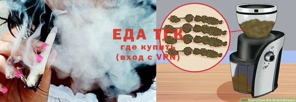 индика Нязепетровск