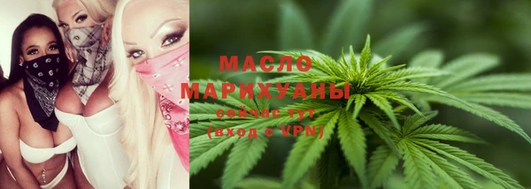 индика Нязепетровск