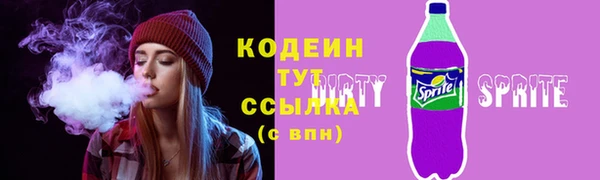 индика Нязепетровск