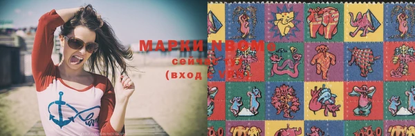 индика Нязепетровск
