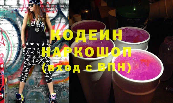 индика Нязепетровск